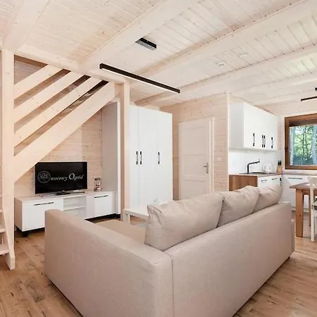 Comfortable No 9 , Summer Pool